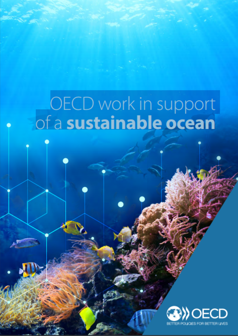 Blue Economy Community