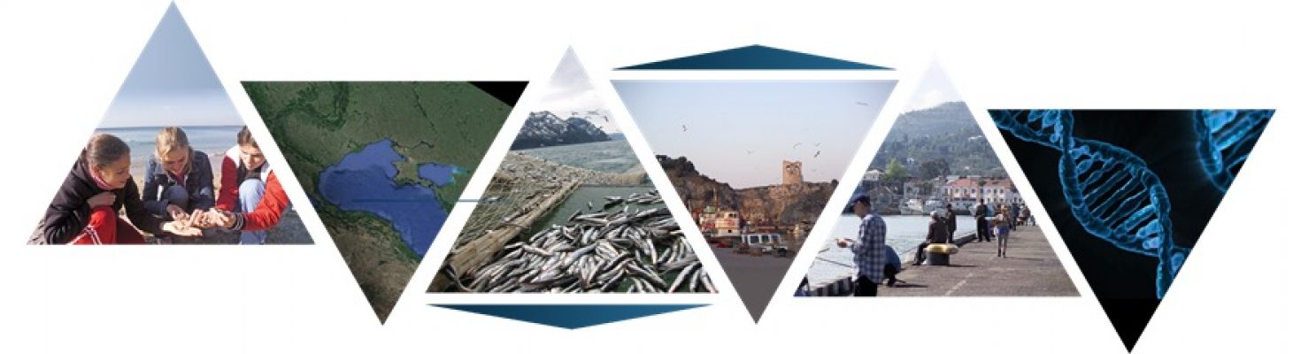 WhatsApp Image 2020-09-09 at 20.26.23 WhatsApp Image 2020-09-09 at 20.26.23