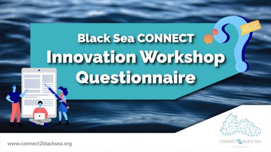 Innovation Workshop Questionnaire-02